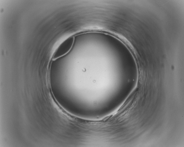 X0000070881295200606191306