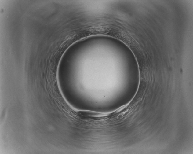 X0000070881297200606191305