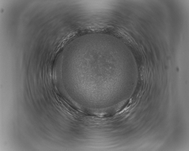 X0000070881298200606191305