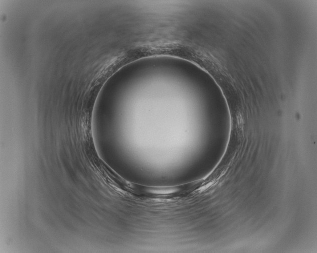 X0000070881300200606191305