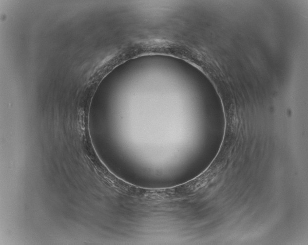 X0000070881301200606191305