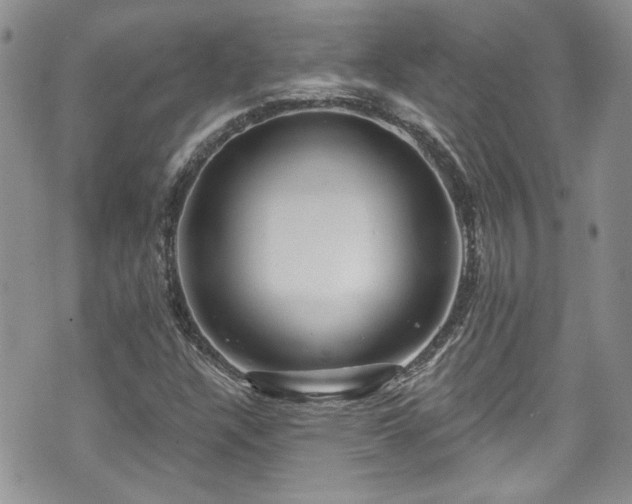 X0000070881304200606191305