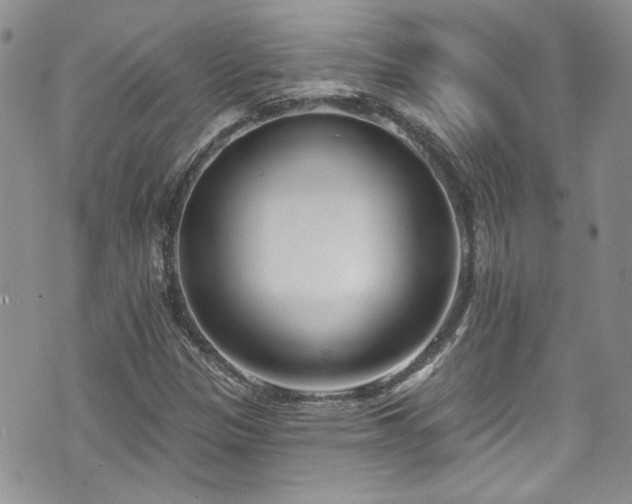 X0000070881305200606191305