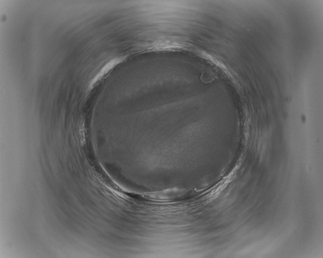 X0000070881306200606191305