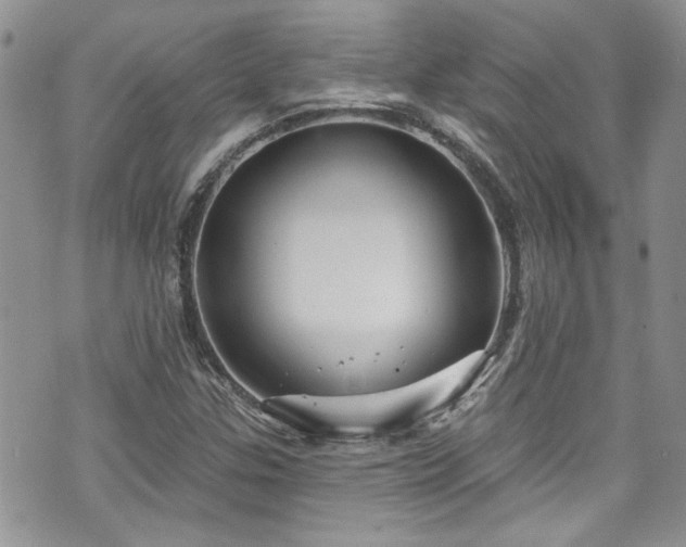 X0000070881307200606191305