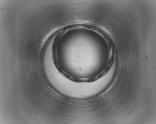 X0000070881310200606191305