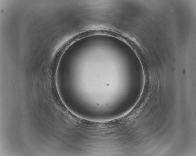 X0000070881311200606191305