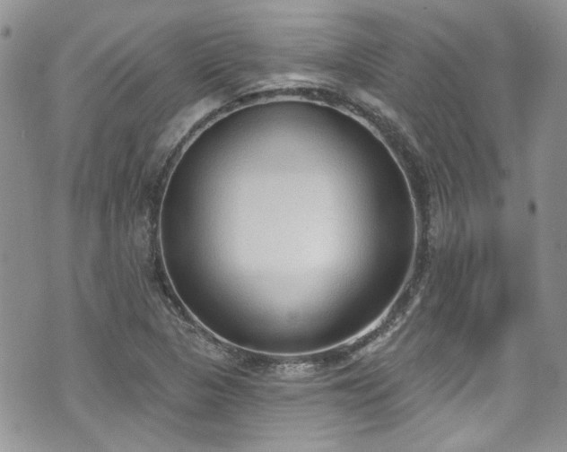 X0000070881313200606191305