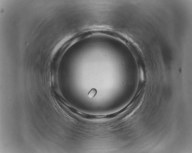 X0000070881317200606191305