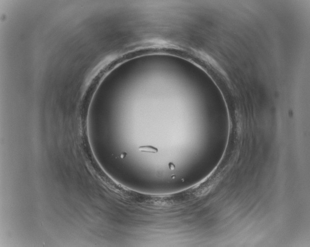 X0000070881318200606191305