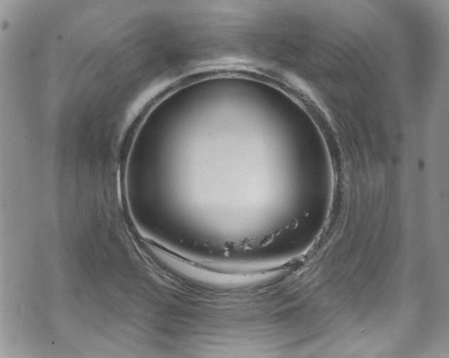 X0000070881320200606191305