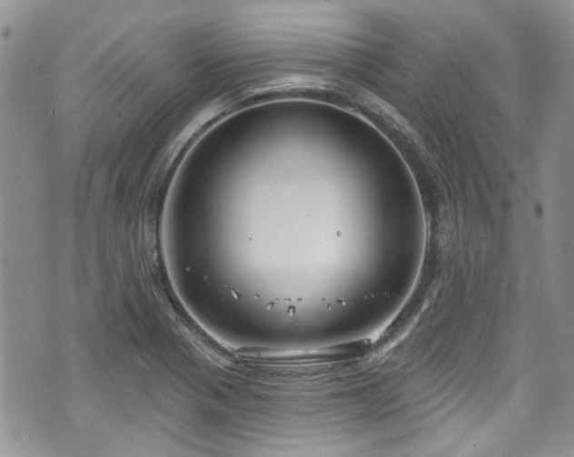 X0000070881321200606191305