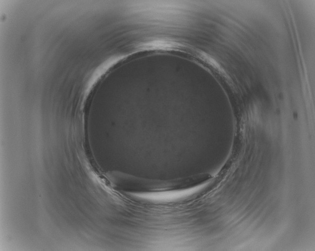 X0000070881323200606191305