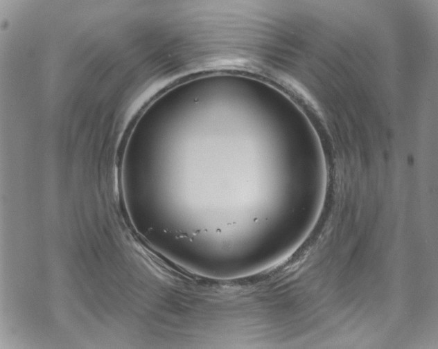 X0000070881324200606191305