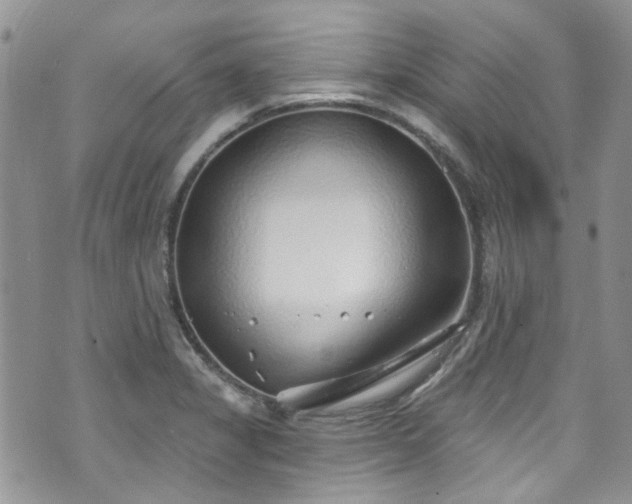 X0000070881325200606191305