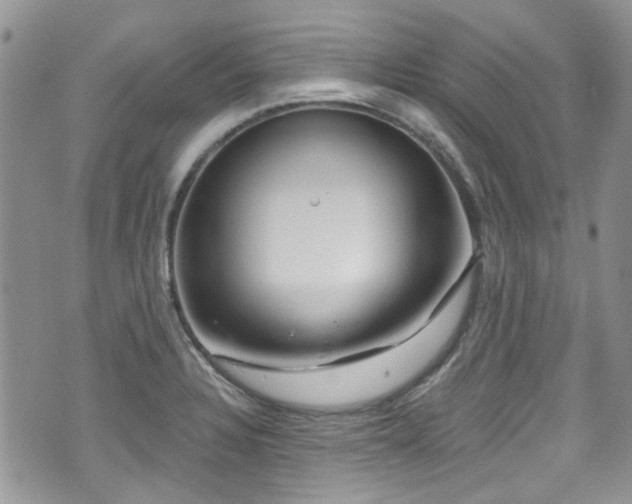 X0000070881328200606191305