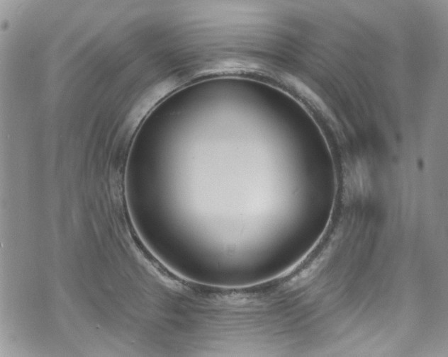 X0000070881329200606191305