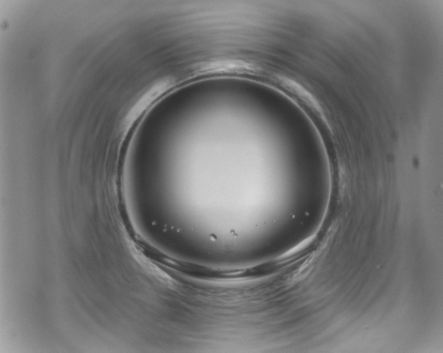 X0000070881330200606191305