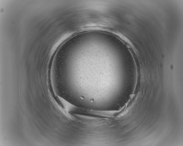 X0000070881333200606191305