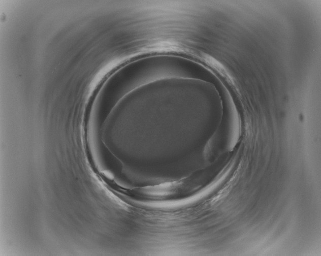 X0000070881334200606191305