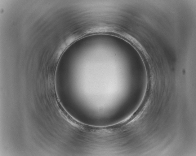 X0000070881337200606191305