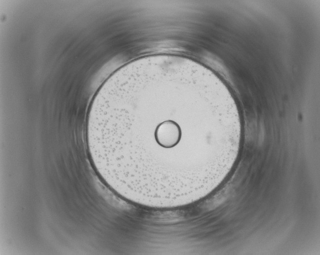 X0000070881338200606191305