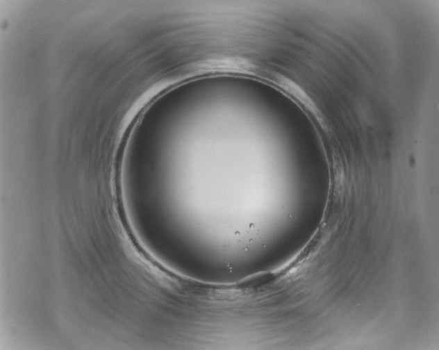 X0000070881339200606191305