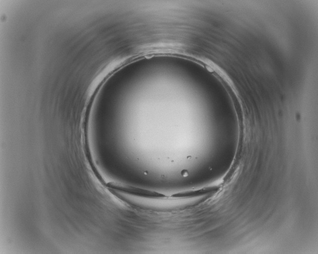 X0000070881341200606191305