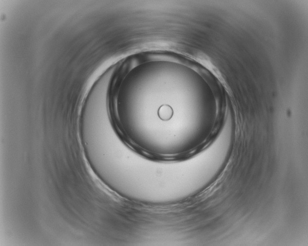 X0000070881342200606191305