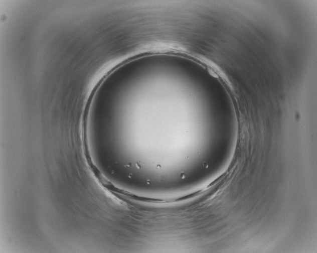 X0000070881343200606191306