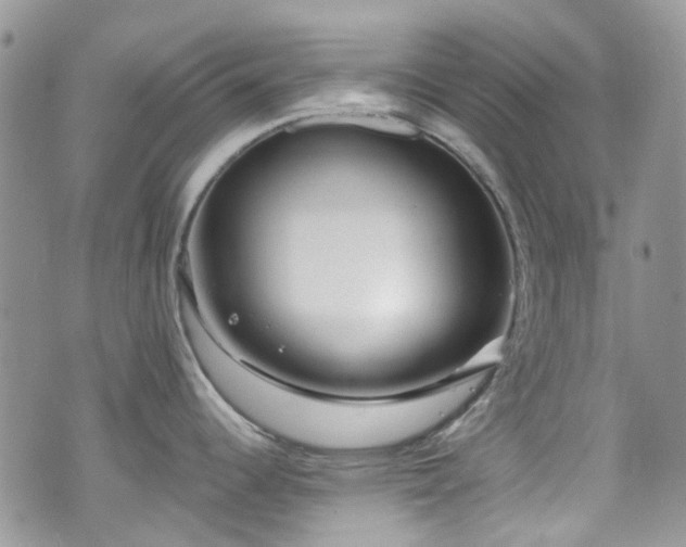 X0000070881344200606191306