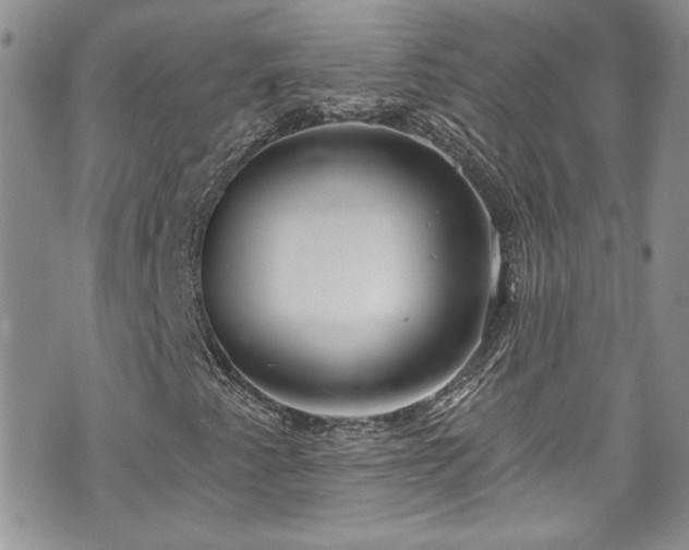 X0000070881345200606191305