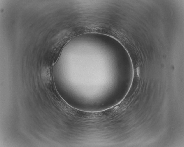 X0000070881347200606191305