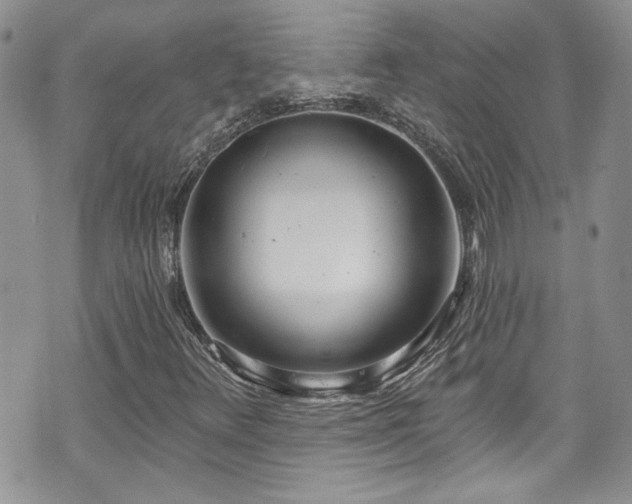 X0000070881348200606191305