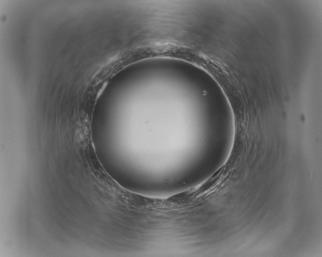 X0000070881349200606191305