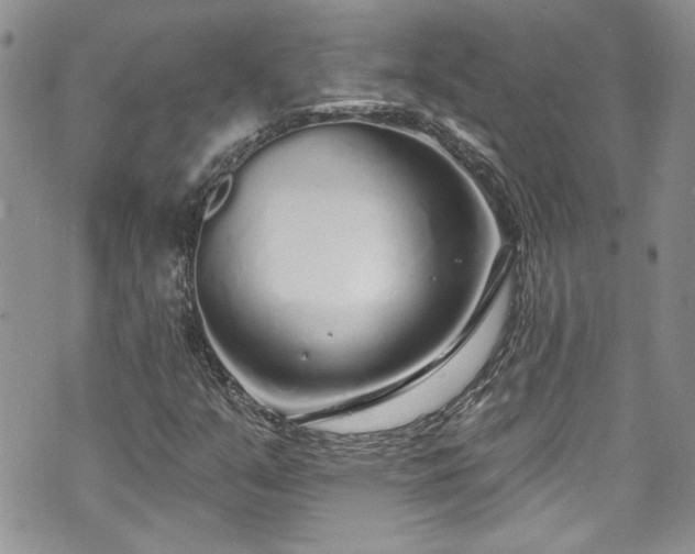 X0000070881351200606191305