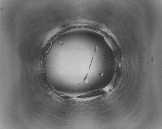 X0000070881352200606191305