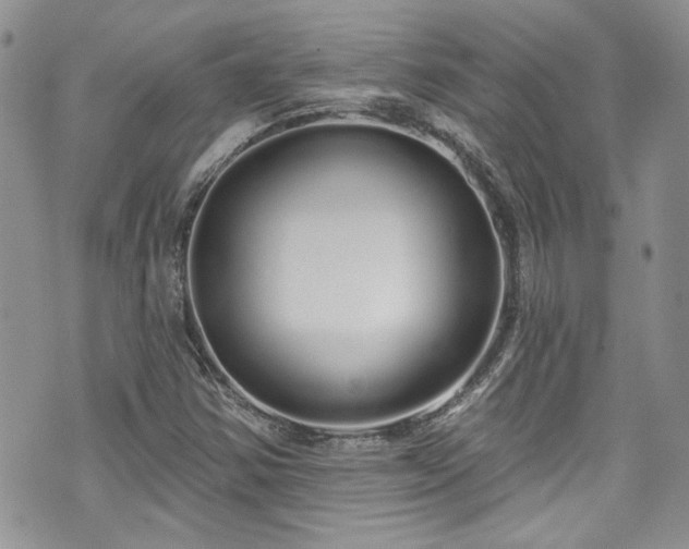 X0000070881354200606191305