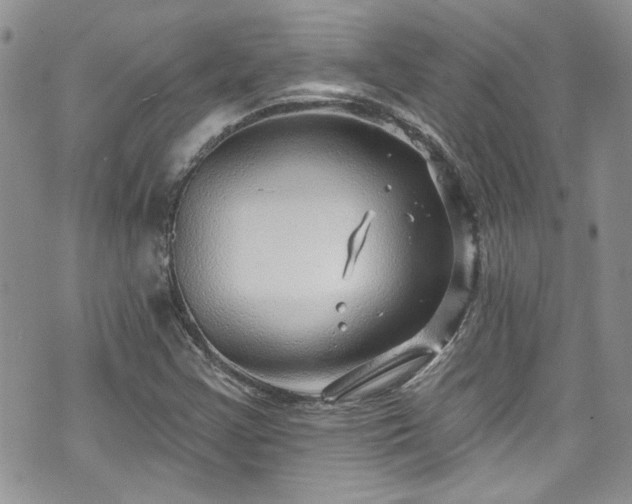 X0000070881355200606191305