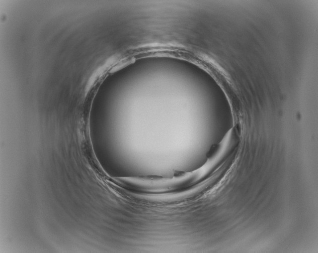 X0000070881357200606191305