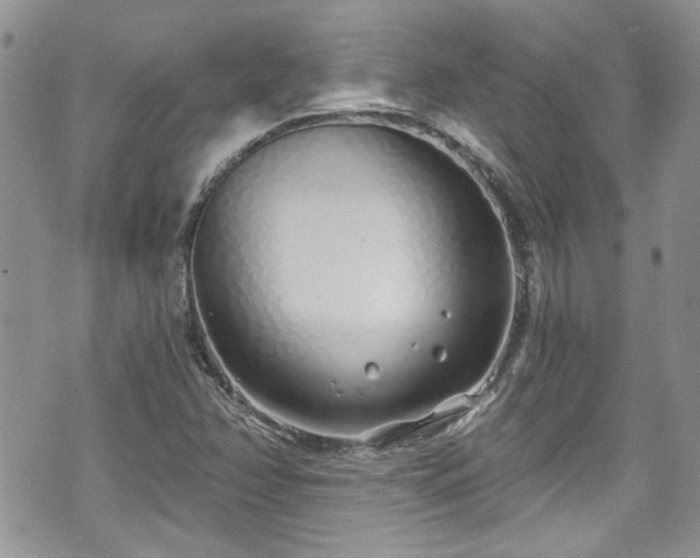 X0000070881358200606191305