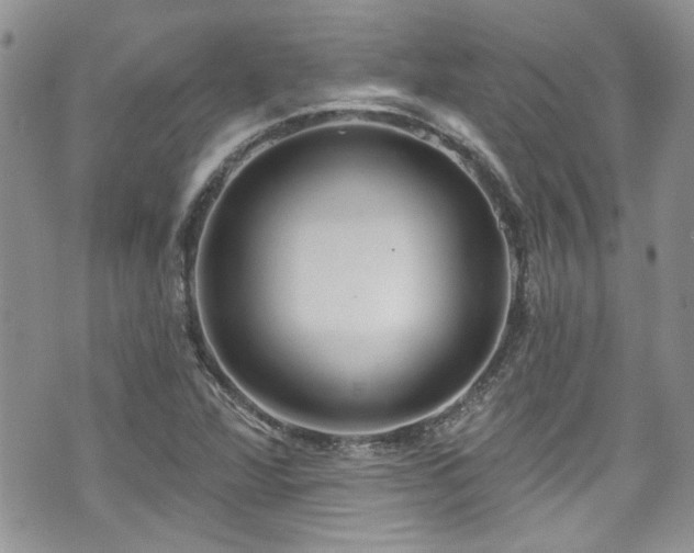 X0000070881360200606191305