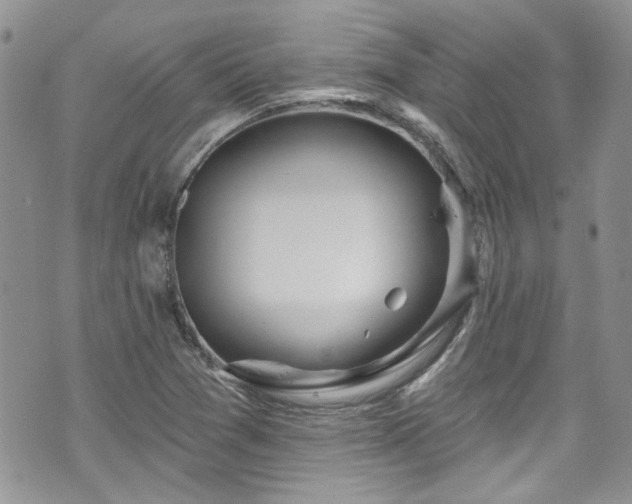 X0000070881361200606191304