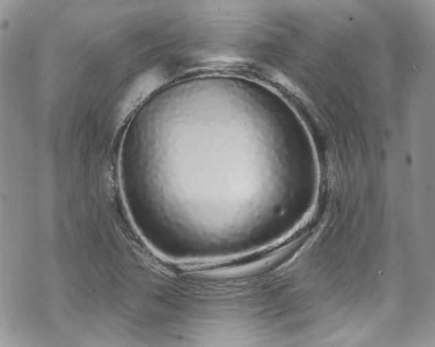 X0000070881362200606191304