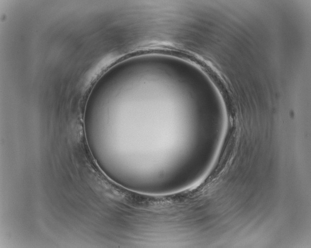 X0000070881363200606191304