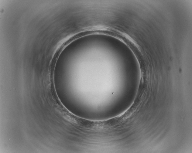 X0000070881364200606191304