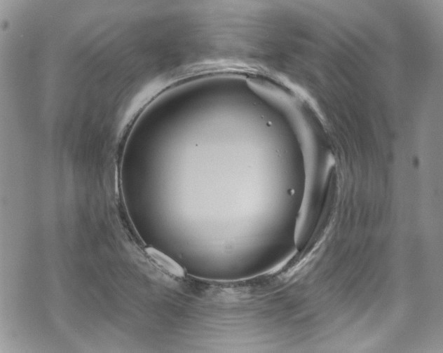 X0000070881365200606191304