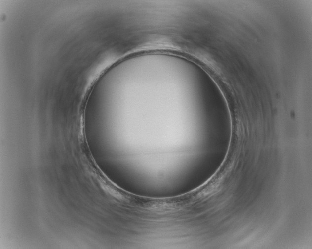 X0000070881366200606191304