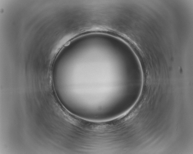 X0000070881367200606191304