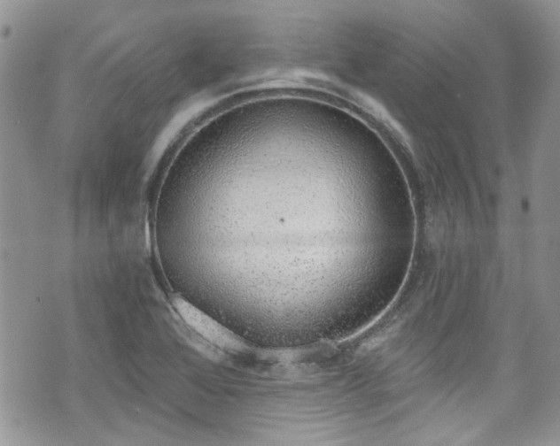 X0000070881368200606191304